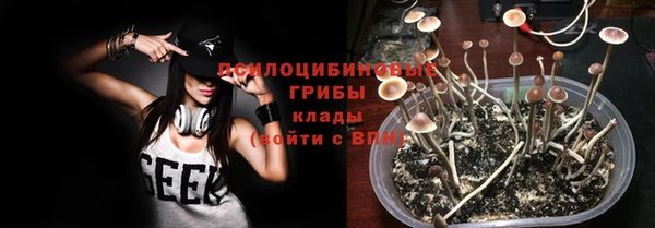 гидра Строитель