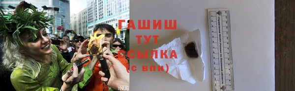 дмт Бородино