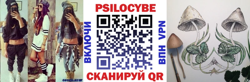где продают наркотики  Боровск  Псилоцибиновые грибы мухоморы 